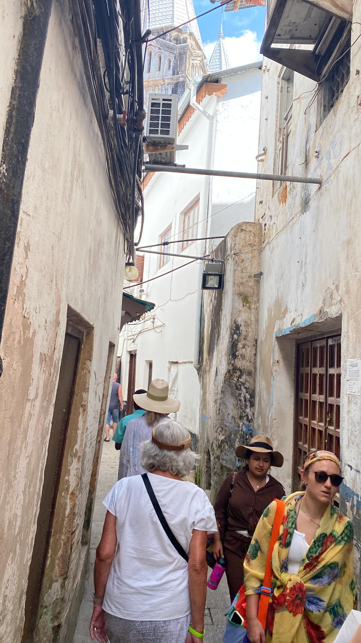 safari tour in Zanzibar